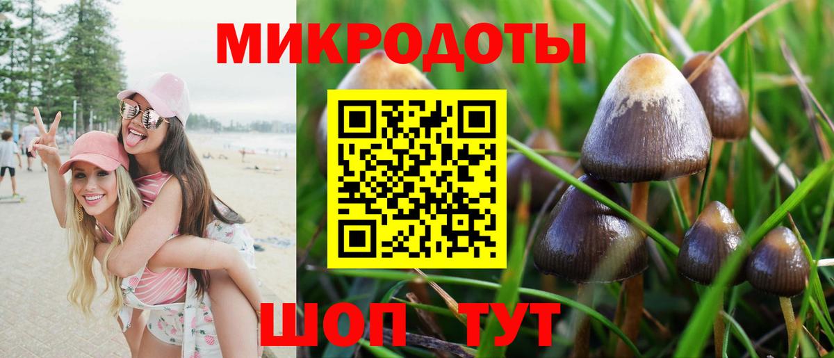 дарнет шоп  Вход с VPN  Галлюциногенные грибы мухоморы  Йошкар-Ола  Псилоцибиновые грибы Magic Shrooms 